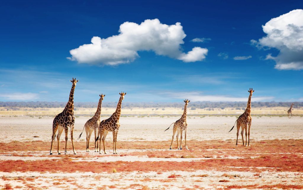 top 10 adventure travel destinations namibia