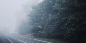 fog, nature, road-6696312.jpg