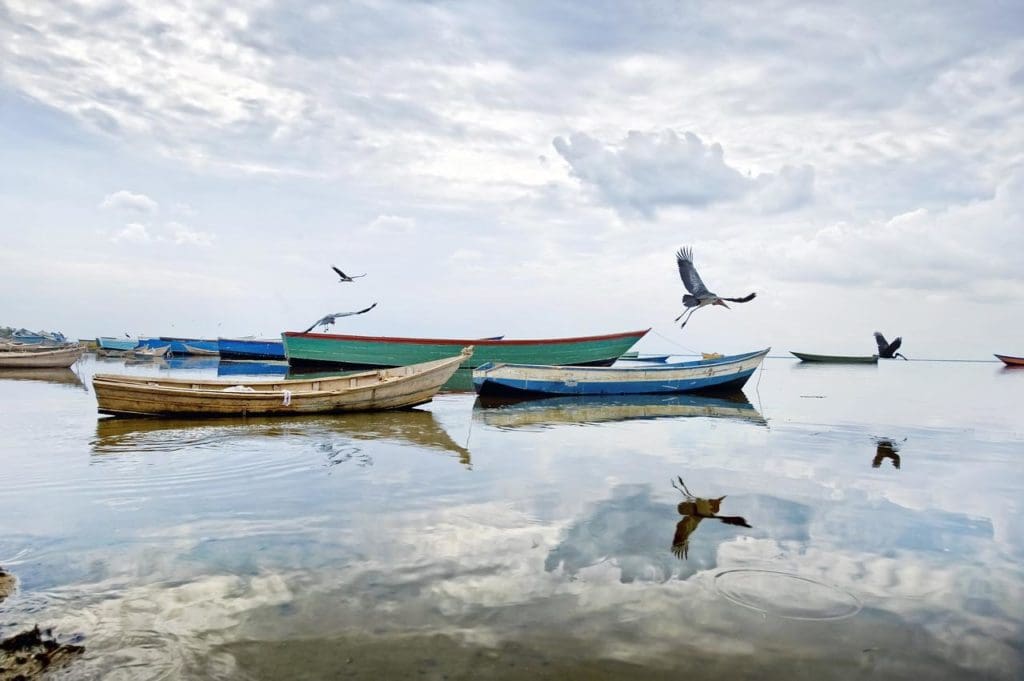 lake albert, uganda, africa-2103890.jpg