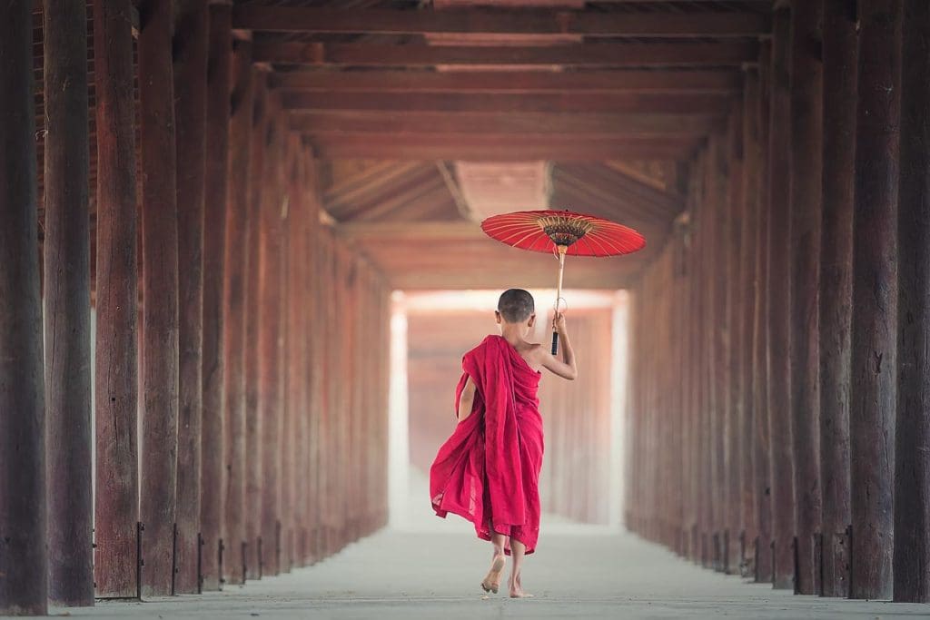 umbrella, buddhism, monk-1807513.jpg