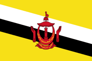 brunei, flag, national flag-162253.jpg