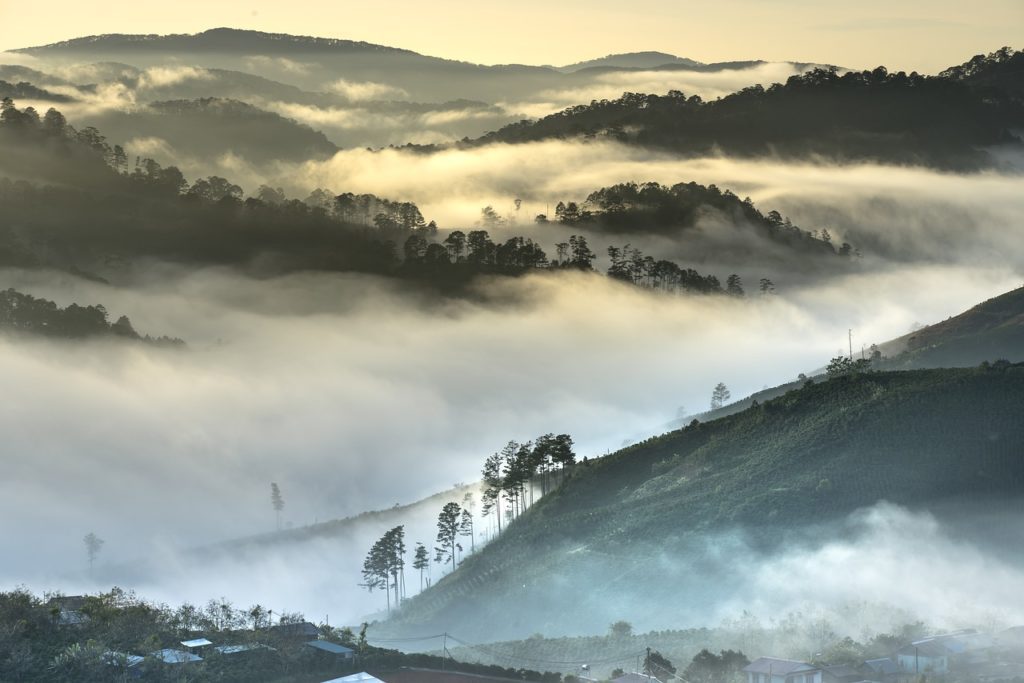 vietnam, environment, nature-3059529.jpg