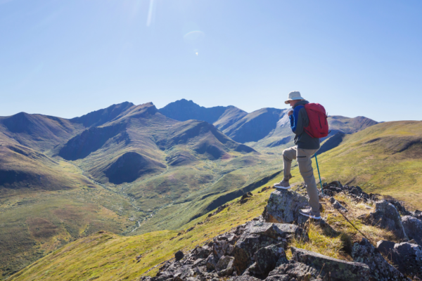Traveling with a Twist Unveiling the Allure of Themed Adventures