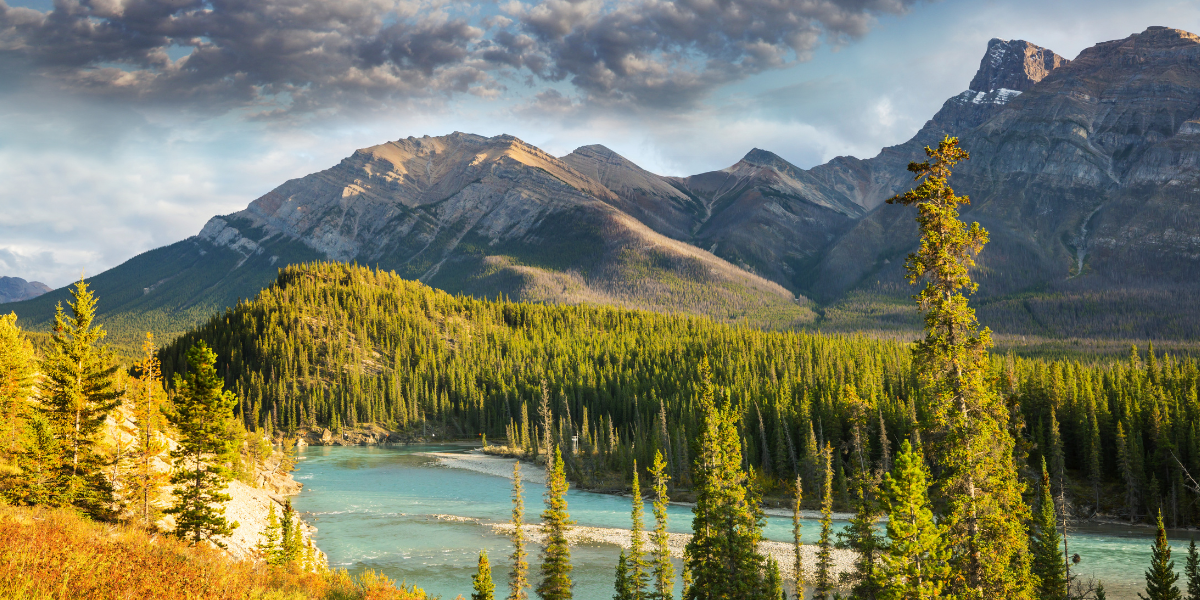 Canada Visa Blog