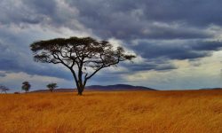 Tanzania E-Visa