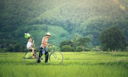 bicycle, cambodia, outside-1822640.jpg