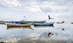 lake albert, uganda, africa-2103890.jpg